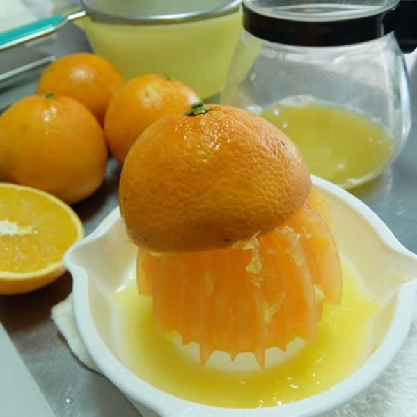 柑橘まみれの日々