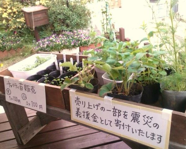 グリーンセール情報