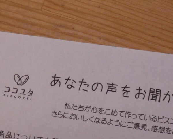 サマーキャンペーン