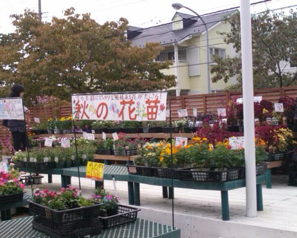 秋のグリーン